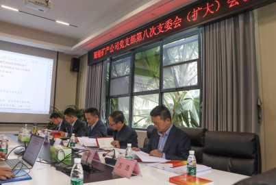 南宫NG28矿产召开2022年第8次支部委员会（扩大）会议